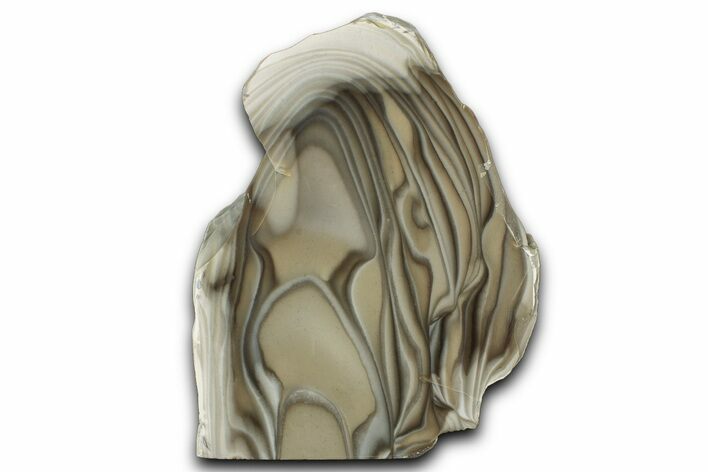 Polished Striped Flint Stand Up - Poland #334954